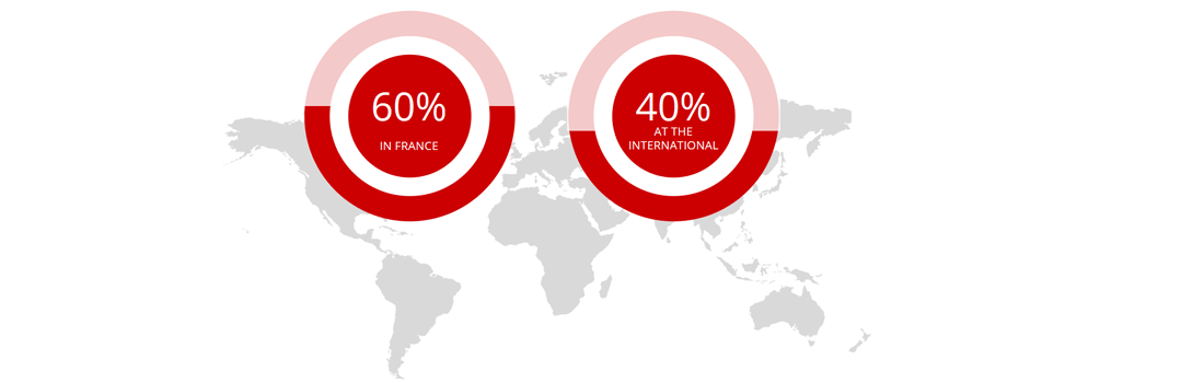 Sales distribution % between France and other countries